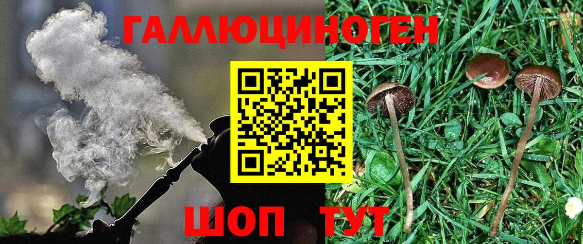 Галлюциногенные грибы MAGIC MUSHROOMS Ипатово