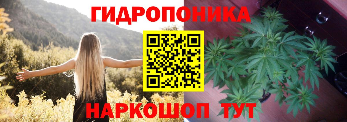 Марихуана планчик  Вход с VPN  Бошки Шишки марихуана  Ипатово  Шишки марихуана конопля 